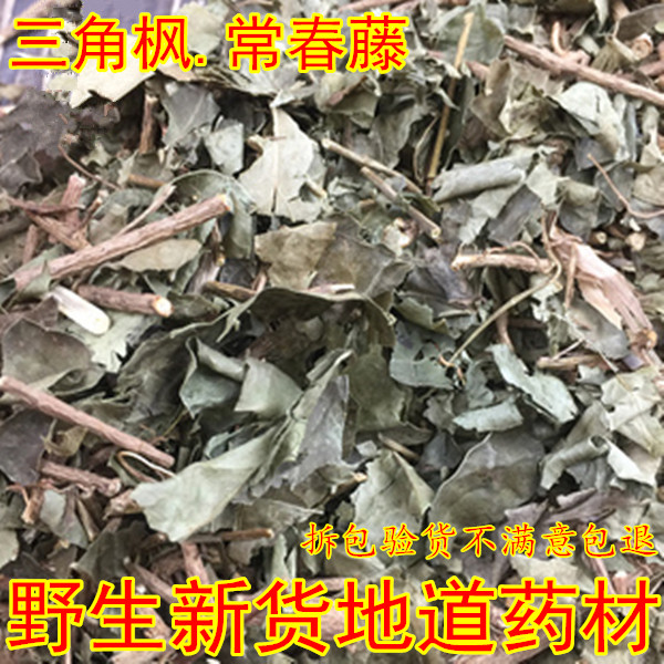 三角枫常春藤干货500g包邮云南野生全株三角风三角尖有艾叶见血清