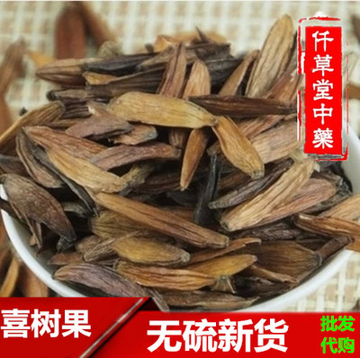 中药材正品千丈树喜树果500g包邮