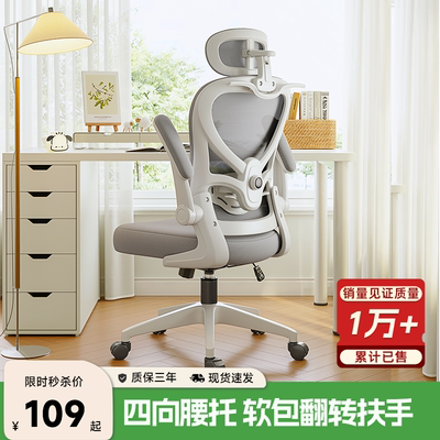 【四向护腰】人体工学办公电脑椅