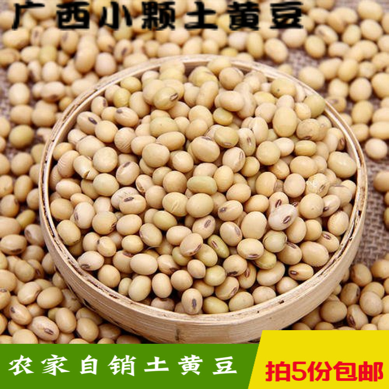 广西恭城土特产农家自种土黄豆小黄豆大豆浆豆芽拍5份包邮