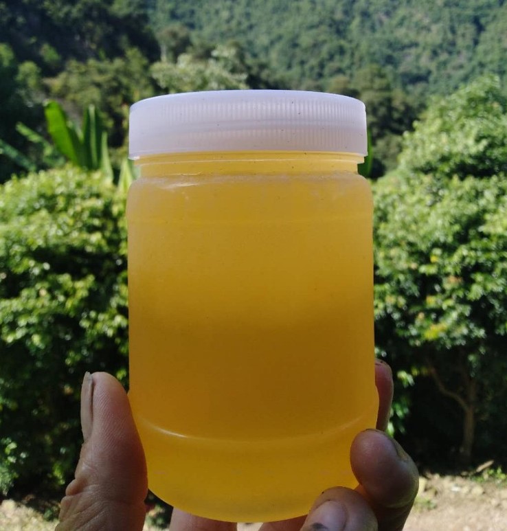中华蜂蜜纯天然土蜂糖广西大山森林农家自产野生百花蜜500g包邮