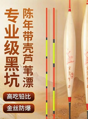 言午作芦苇浮漂黑坑专业级C系