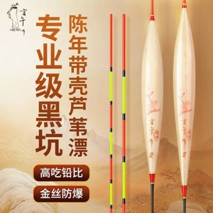 言午作芦苇浮漂黑坑专业级C系