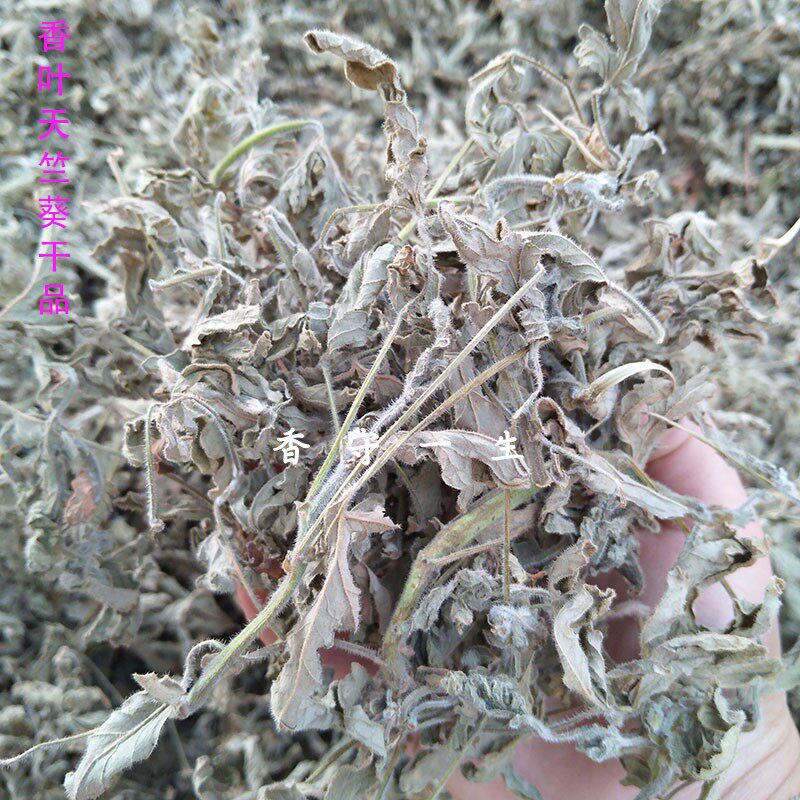 天竺葵带花发货枝条干品香叶
