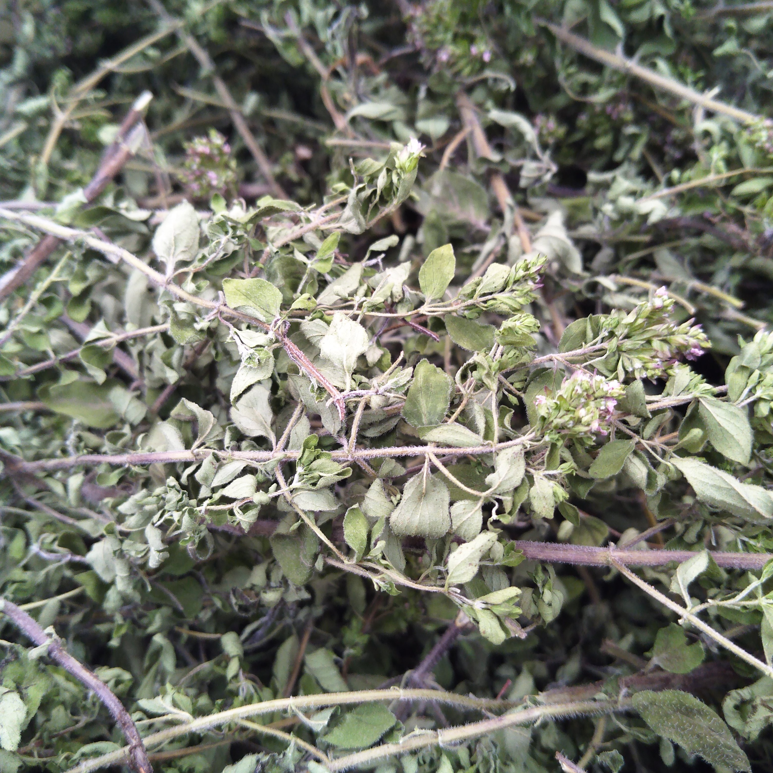 披萨牛至碎浓郁居家辛香料