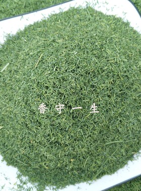 烘干莳萝草Dill莳萝叶干品干叶调味料初级农产品碧绿如鲜基地直销