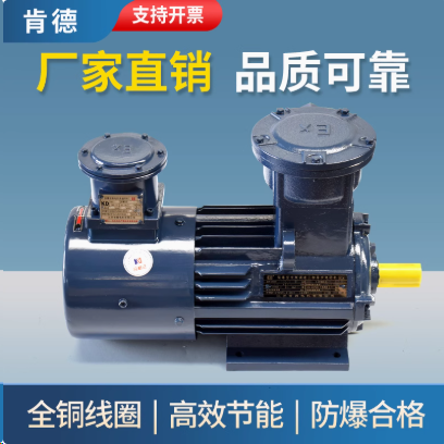 防爆变频BT4-YBBP-4~18.5KW三相异步电动机,五金/工具,电动机,淘宝优惠券,粉丝福利购,淘宝优惠卷