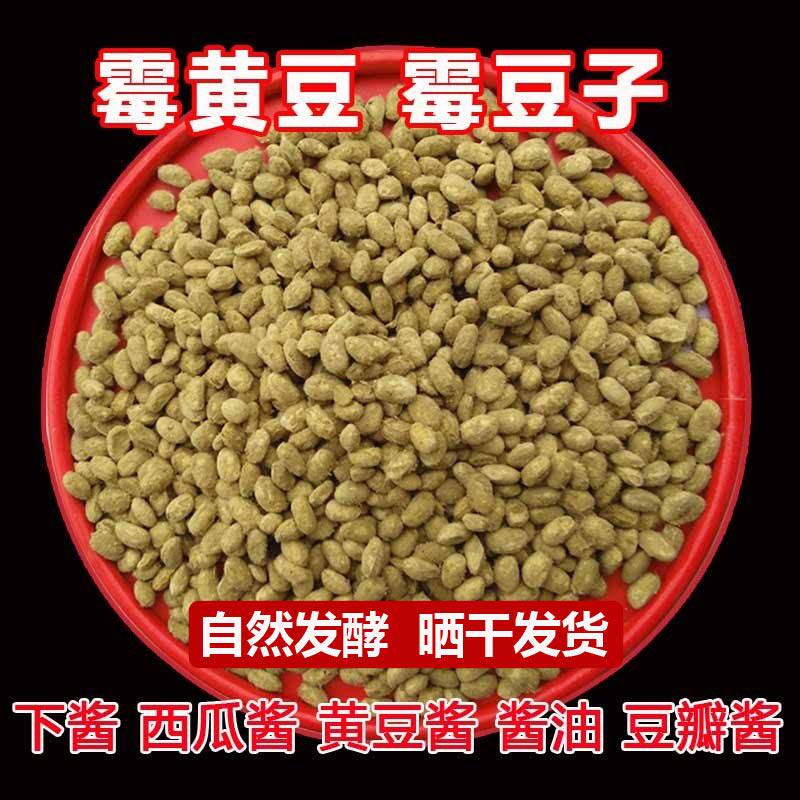 发酵霉黄豆霉大豆干霉豆瓣捂豆子霉豆子做黄豆酱西瓜酱豆瓣酱酱油