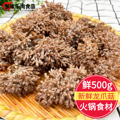 武夷山特产龙爪菇新鲜珊瑚菌500g