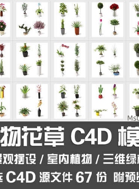 C4D室内庭院观赏盆栽三维植物小花卉小草景观摆设绿植3D模型素材