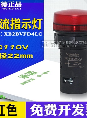 原装正品 施耐德XB2-BVFD4LC直流110VLED指示灯XB2BVFD3LC