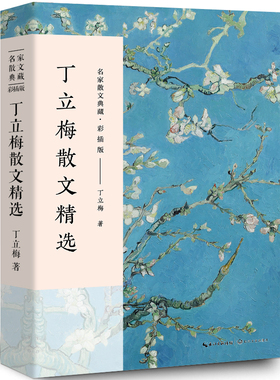 丁立梅散文集 正版丁立梅的书经典散文精选小说文集名家作品书籍比时光更坚强清欢捡得一颗欢喜心让梦想拐个弯初中长江文艺出版社