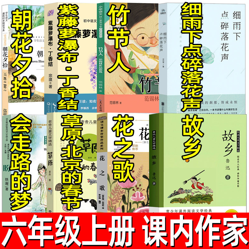 六年级上册花之歌草原北京的春节紫藤萝瀑布丁香结细雨下点碎落花声竹节人会走路的梦故乡朝花夕拾鲁迅铁凝宗白华宗璞老舍纪伯伦图片