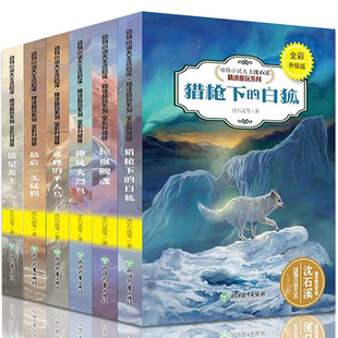 包邮 书全套大全套装 神风火烈鸟最后一头猛犸泣血鲸魂猎枪下 半人马流星龙王沈石溪 白狐孤独 沈石溪动物小说全集系列全套正版