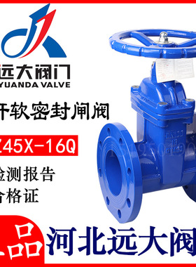 远大阀门暗杆软密封闸阀Z45X-16Q弹性阀座闸阀法兰 DN100 150