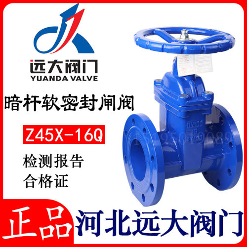 远大阀门暗杆软密封闸阀Z45X-16Q弹性阀座闸阀法兰 DN100 150