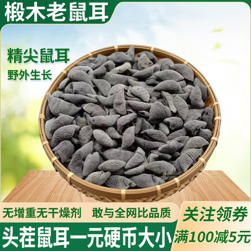 头茬椴木老鼠耳硬币大小特等尖货