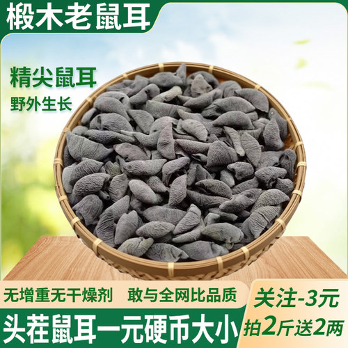 头茬椴木老鼠耳硬币大小特等尖货