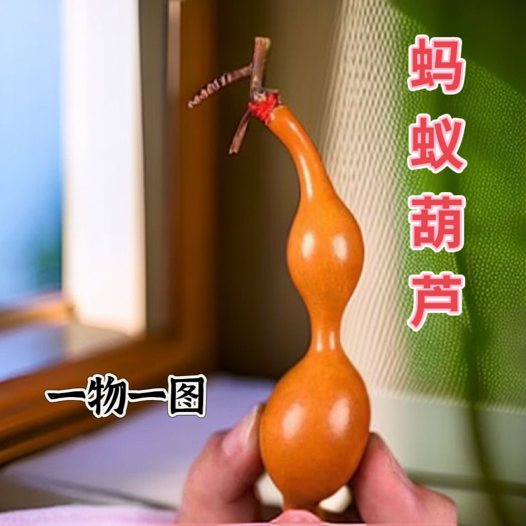 天然蚂蚁肚小葫芦异形手捻文玩手把件一物一图八宝包浆老葫芦