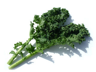 广东顺丰包邮  食用甘蓝 榨汁 沙拉轻食 羽衣甘蓝 绿叶野芥兰250g