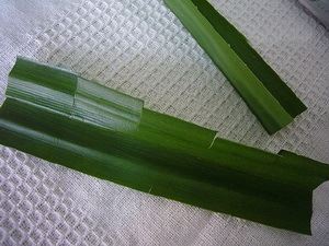 广东顺丰包邮 香兰叶 斑兰叶 新鲜香料 泰国菜 香兰叶  250g