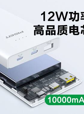 品胜12W 1万毫安移动电源TS-D324