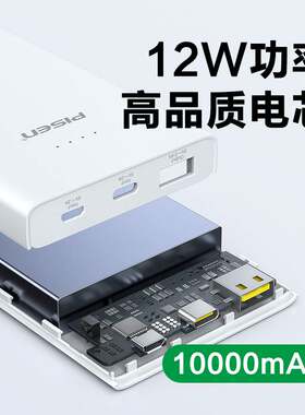 品胜12W 1万毫安移动电源TS-D324