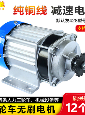 电动三轮车电机48v60v伏500w550w链条直流无刷改装中置总成控制器