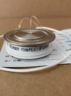 TECHSEM Y30KPE KP300A 1200V 10【询价】