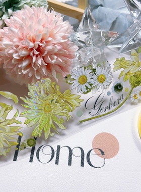 pet胶带分装 studio VI S6新品卷边伏朗百搭清新黄色花花咕卡流麻