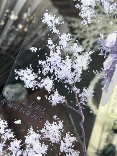 月海研究所 踏雪寻梅 百搭古风雪梅红梅 咕卡流麻手帐pet胶带分装