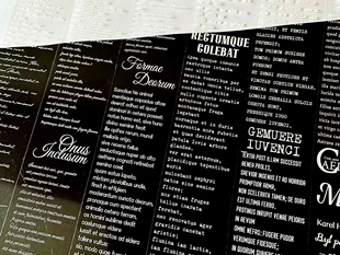 星尘症候群 等闲祈音优雅的探戈咕卡流麻pet镭射烫金文字胶带分装