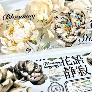 百搭复古花花手帐拼贴胶带 皎皎听幽 pet胶带分装 wines手帐新品