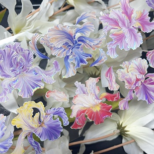 Reborn文创 朝霞深夜鸢尾之约 彩色鸢尾花咕卡流麻手帐pet胶带