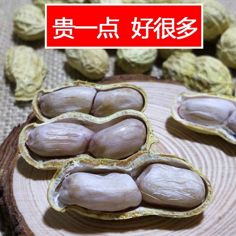 水煮白晒盐咸干咸干花生龙岩花生