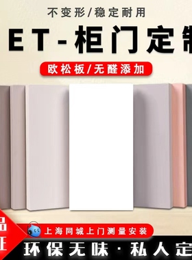 进口爱格板Pet高光肤感颗粒板橱柜全屋定制衣柜定做欧松多层衣柜