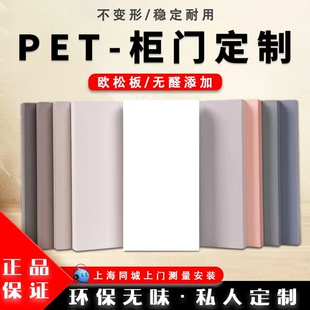 进口爱格板Pet高光肤感颗粒板橱柜全屋定制衣柜定做欧松多层衣柜