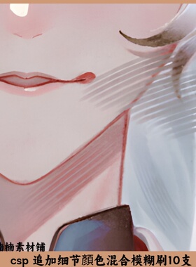 csp 追加细节颜色混合模糊刷10支 csp笔刷 sut格式 clipstudi