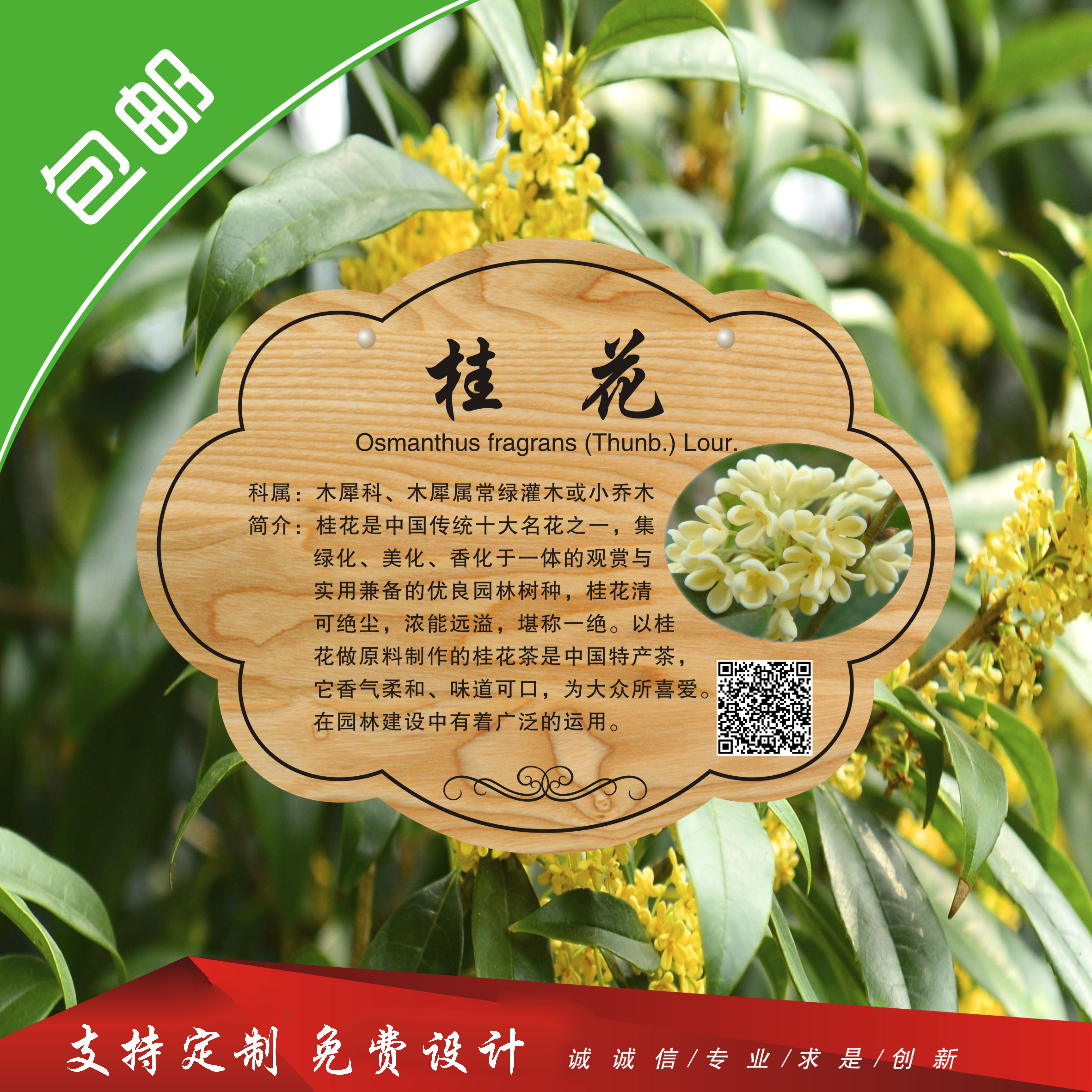 标牌亚克力花草悬挂树牌认养广告爱护标签景区定制花草标示牌铭牌