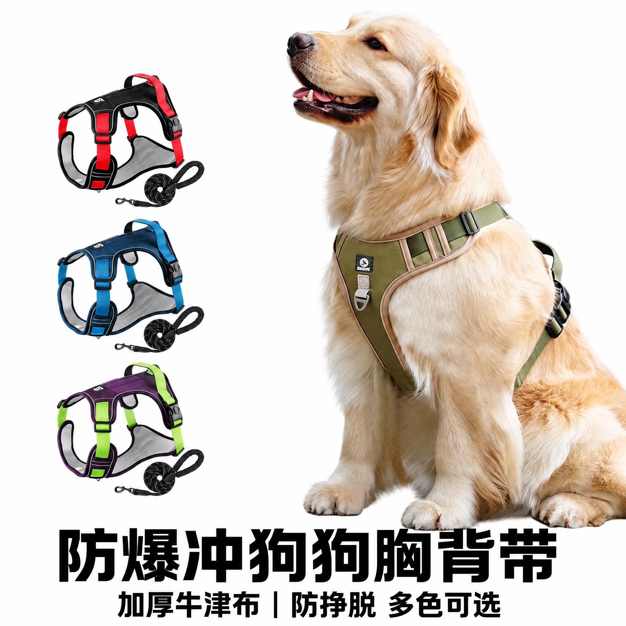 狗狗牵引绳防爆透气背心背带金毛胸背拉布拉多绳子中大型犬遛狗绳