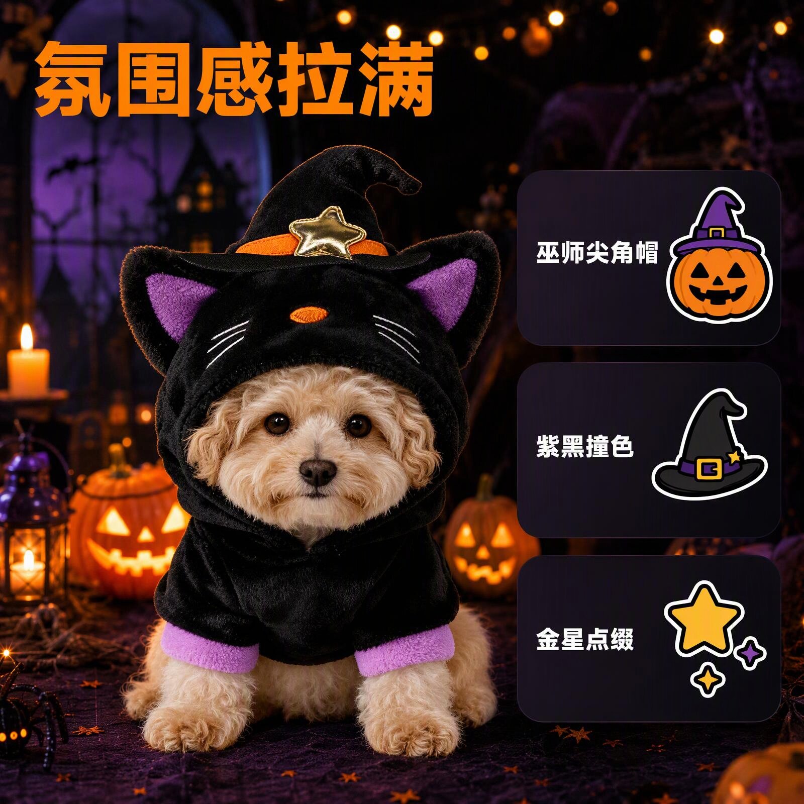 万圣节魔法猫咪宠物变身装保暖