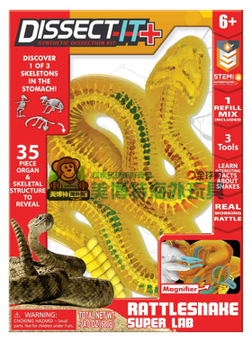 Dissect It Synthetic Lab剖析实验室解剖响尾蛇STEM益智玩具手办