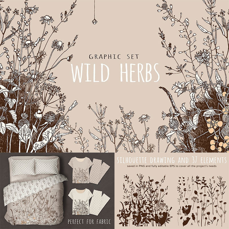 野草药草本植物高清矢量图片叶花朵剪影药物手绘素描平面设计素材