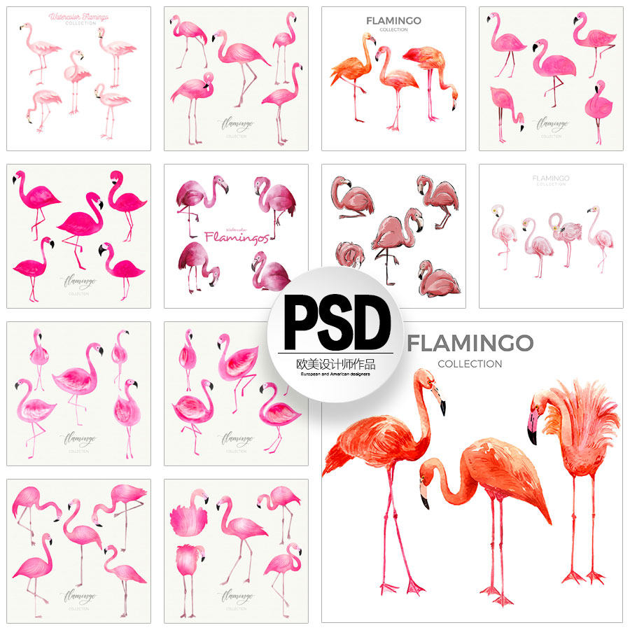 psd热带野生动物火烈鸟类夏季水彩手绘插画图ai矢量平面设计素材