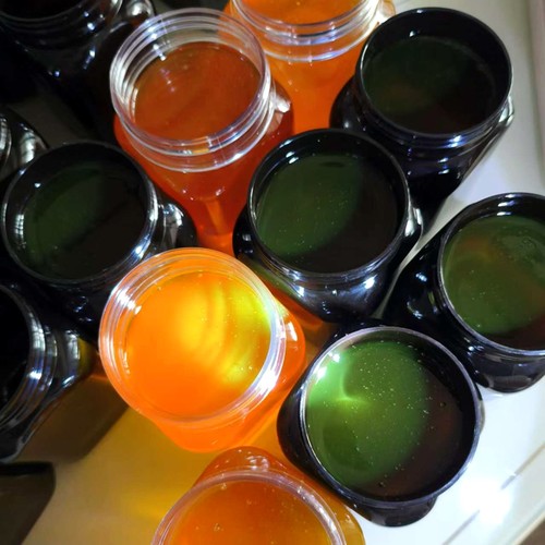 2024年新蜜五倍子蜜药花蜜