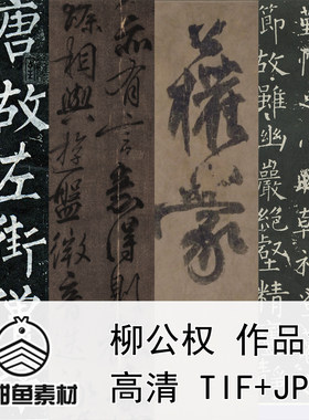 高清柳公权行楷书作品合集玄秘塔金刚经神策电子版临印刷素材jpg