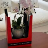 新年喜庆红色双把手蝴蝶兰加高盆栽盒春节高档手提花盒花店包装 盒