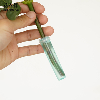 洋兰管红培养储水泰国鲜花