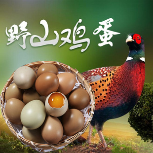 野鸡蛋 七彩山鸡蛋新鲜 野金鸡蛋 绿乌鸡蛋农家散养土鸡蛋 山鸡蛋