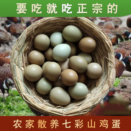 新鲜七彩山鸡蛋杂粮散养